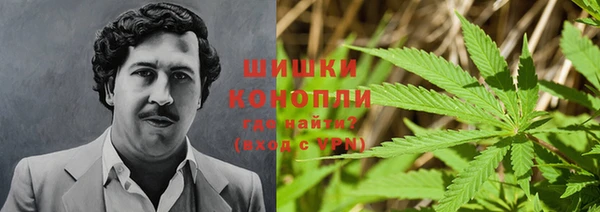круглые Вяземский