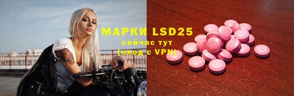 ГАЛЛЮЦИНОГЕННЫЕ ГРИБЫ Вязники