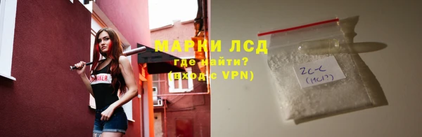ГАЛЛЮЦИНОГЕННЫЕ ГРИБЫ Вязники