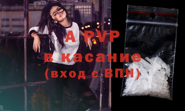ГАЛЛЮЦИНОГЕННЫЕ ГРИБЫ Вязники